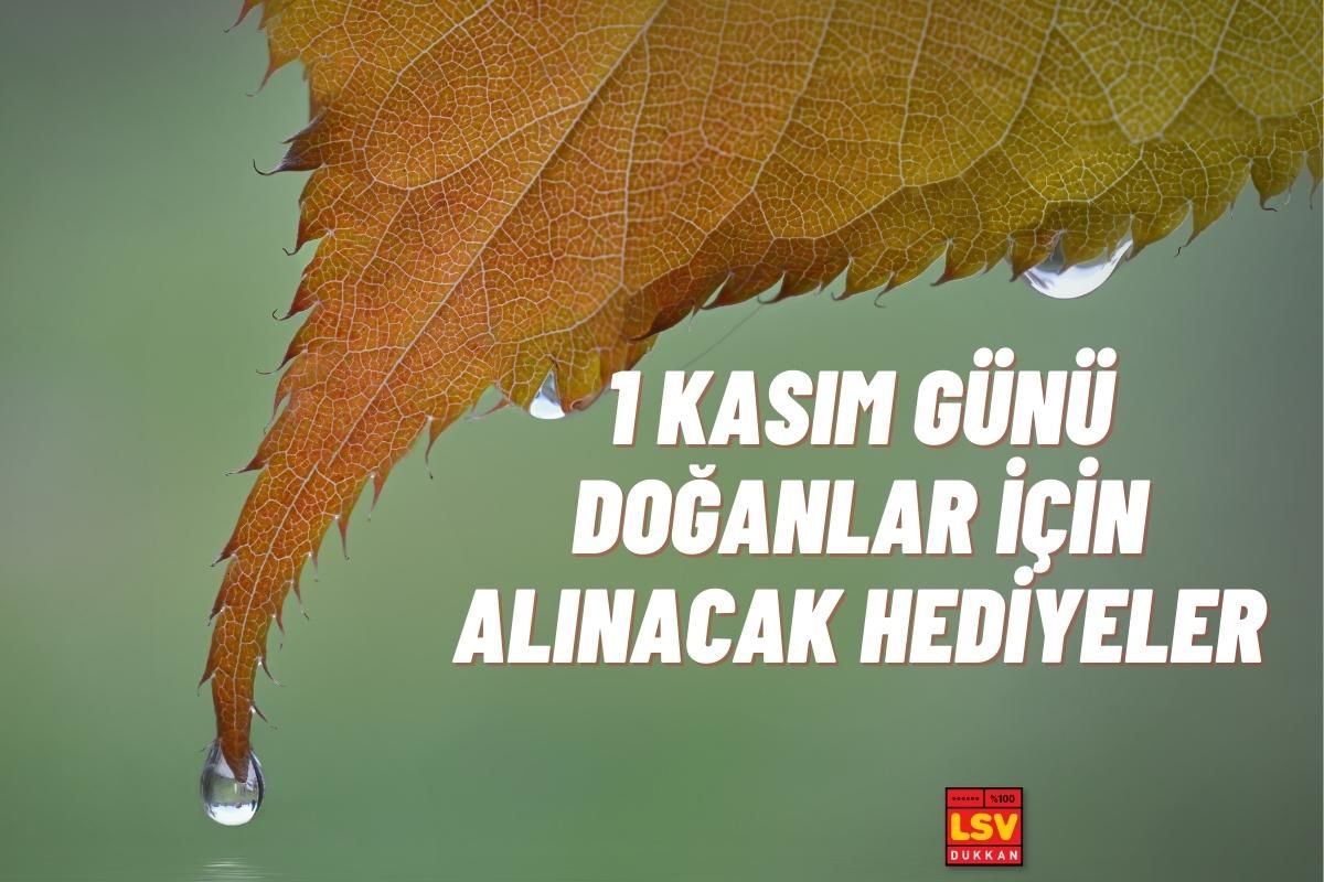 1 Kasım Günü Doğanlara Ne Hediye Alınır ?