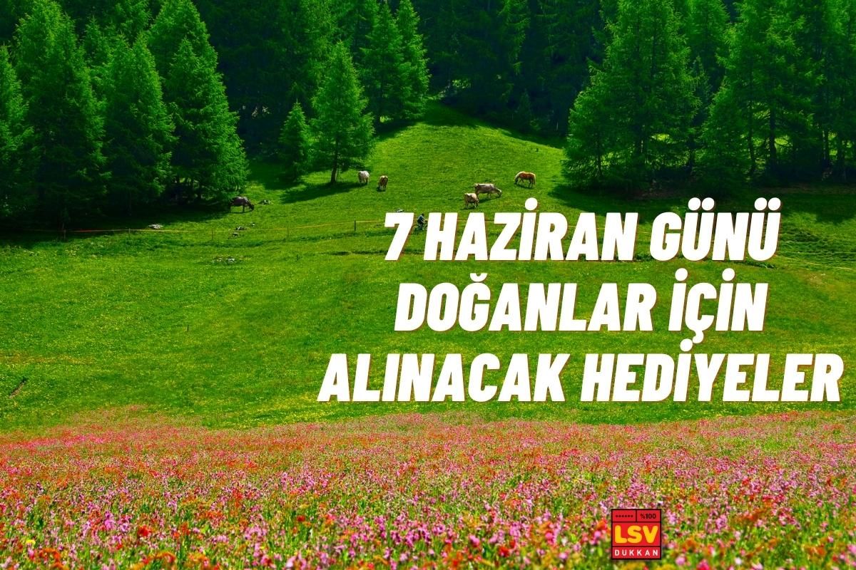 7 Haziran Günü Doğanlara Ne Hediye Alınır ?