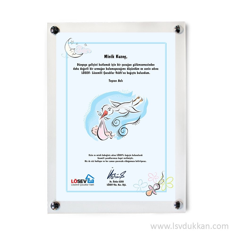 A4 Çerçeveli Yaşam Sertifikaları – Hoş geldin Bebek – Erkek
