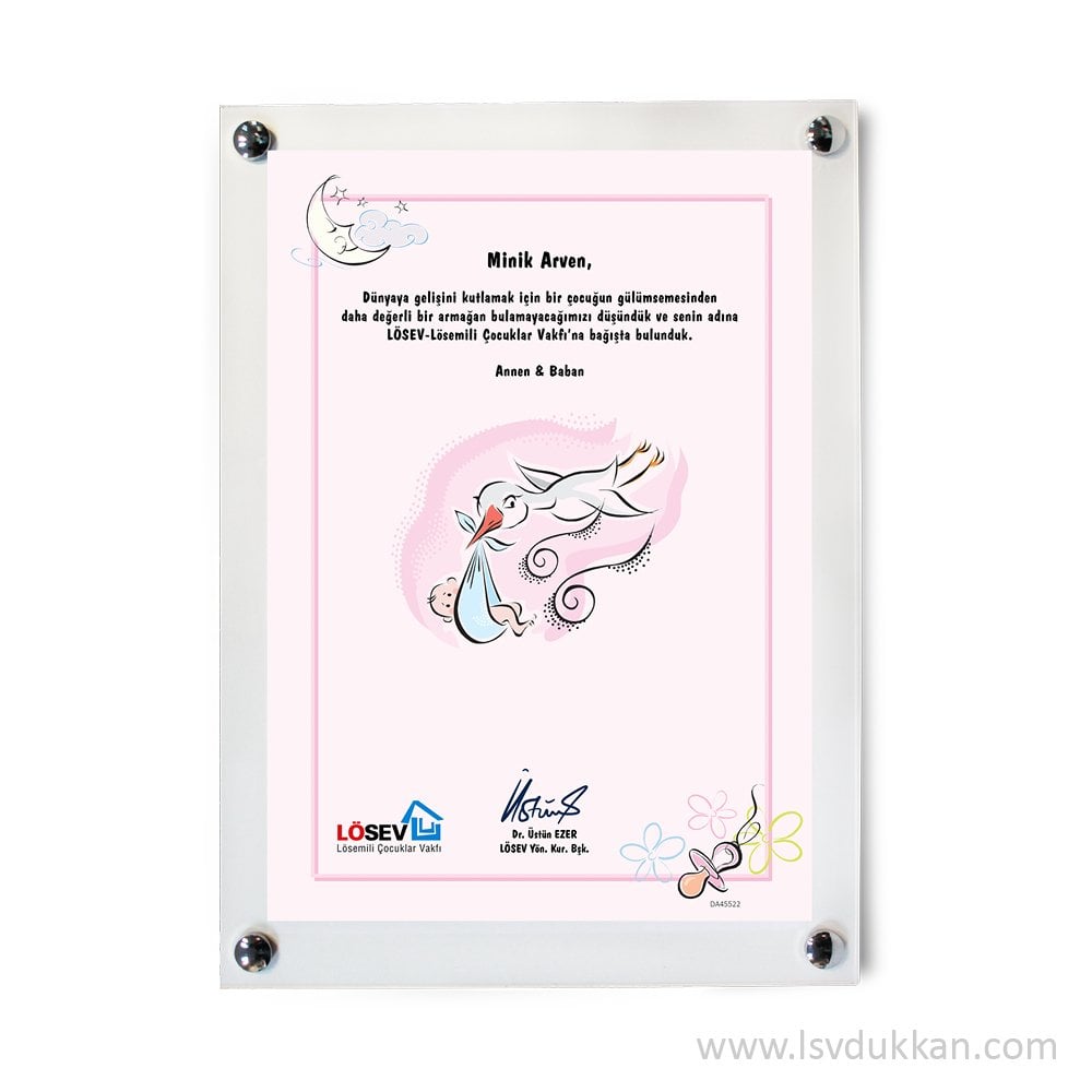 Ahşap Hoşgeldin Bebek Kız Sertifikası Büyük