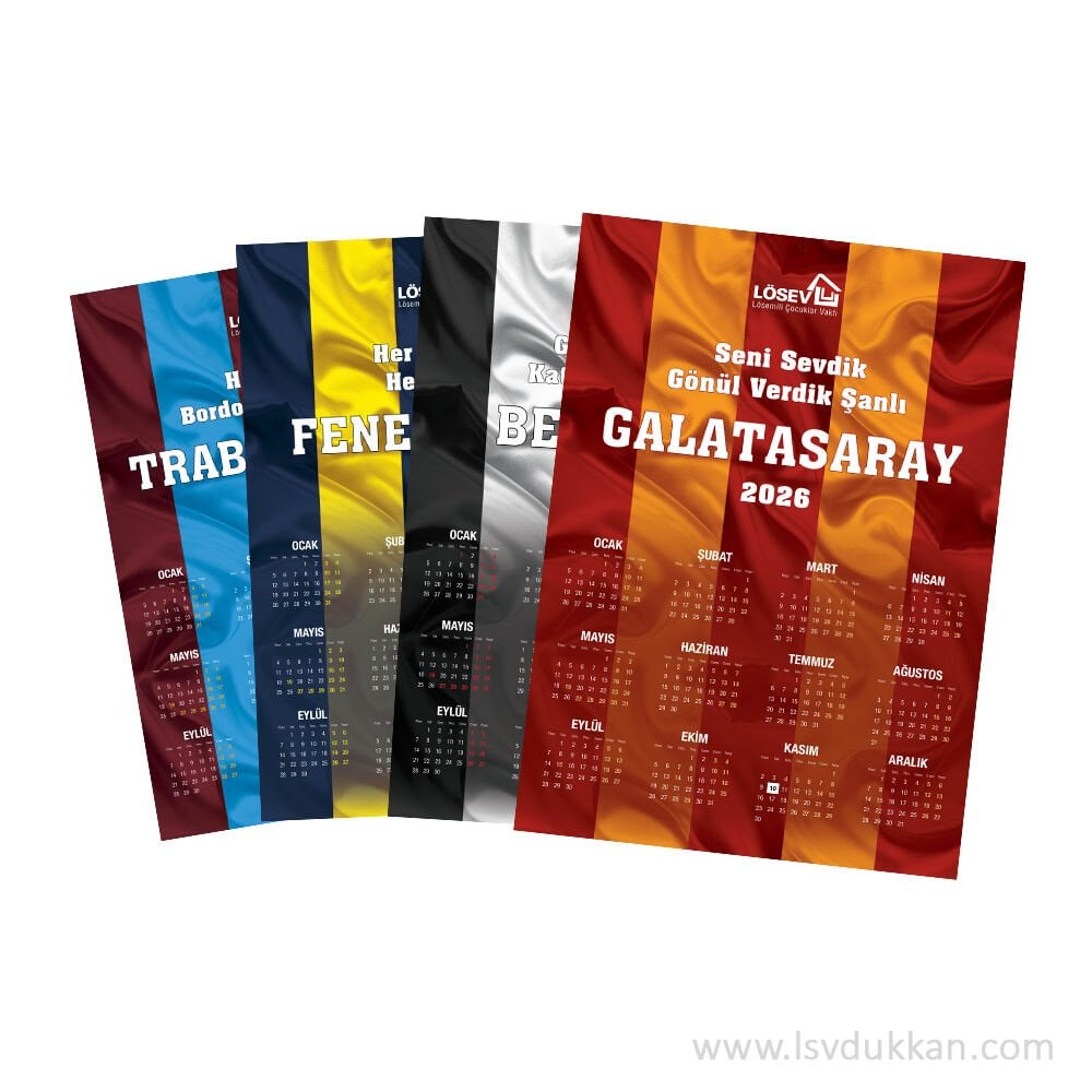 RENKLİ DUVAR TAKVİMİ-2026