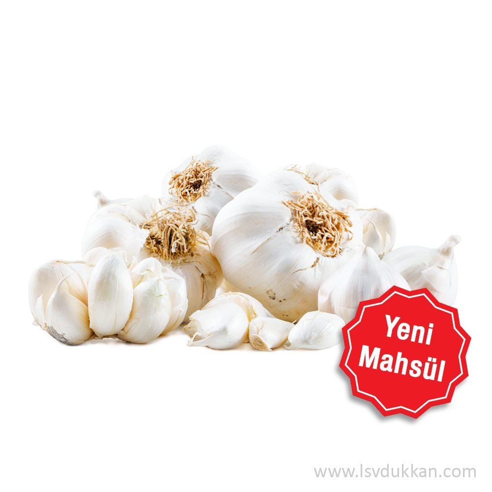 LSV TAŞKÖPRÜ TAZE SARIMSAK