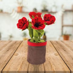 Lsv Saksıda Gelincik