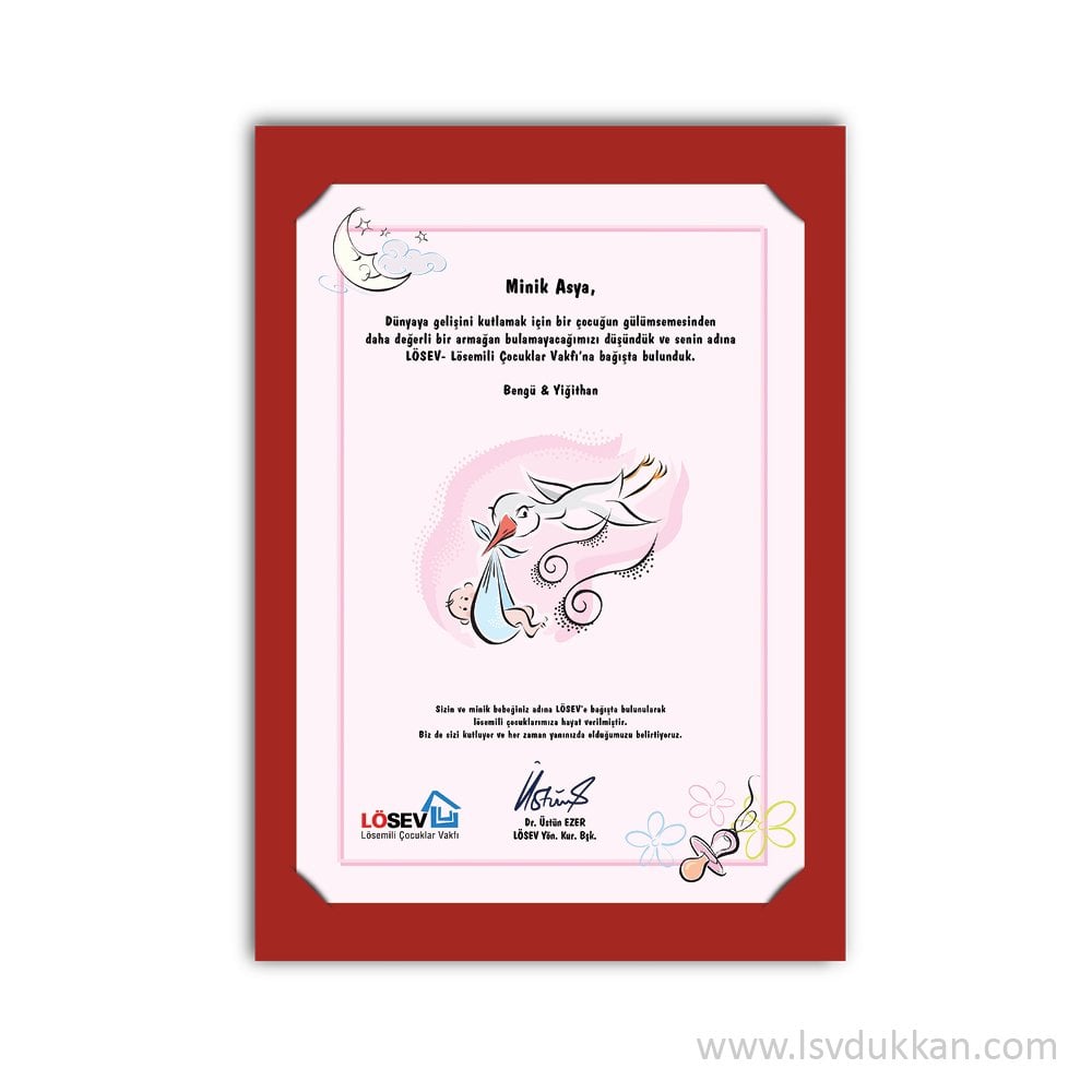 A4 Paspartu Yaşam Sertifikaları – Hoş geldin Bebek – Kız