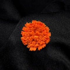 2-8 KASIM TURUNCU YAKA KARANFİLİ