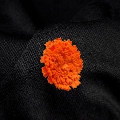 2-8 KASIM TURUNCU YAKA KARANFİLİ