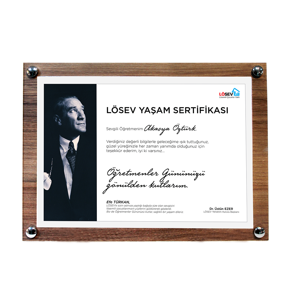Bağış Sertifikaları - Neşe Saçan Başöğretmenim