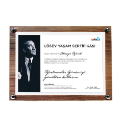 A5 Çerçeveli Yaşam Sertifikaları - Neşe Saçan Başöğretmenim