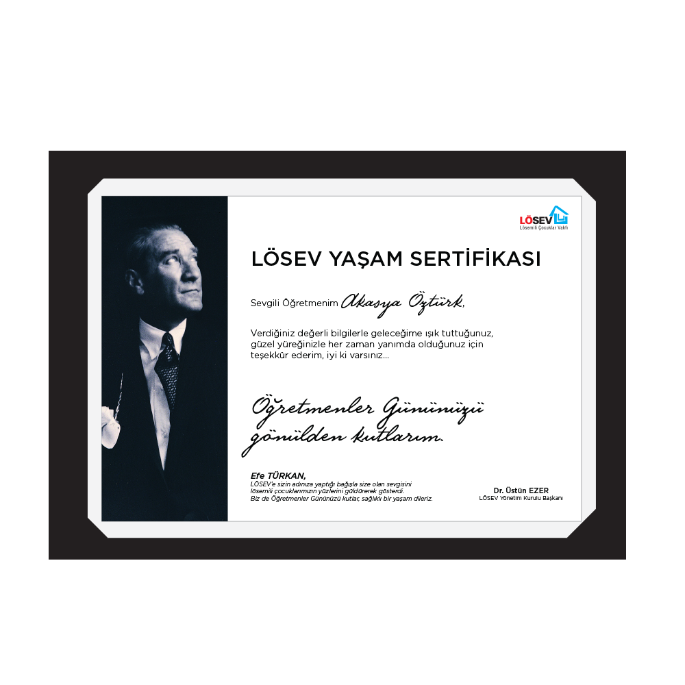 A4 Paspartu Yaşam Sertifikaları - Neşe Saçan Başöğretmenim