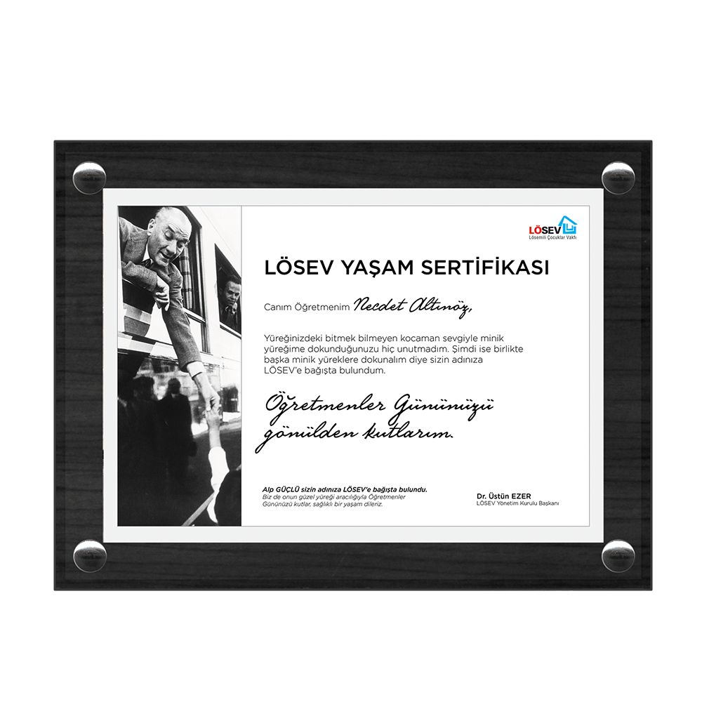 A4 Çerçeveli Yaşam Sertifikaları - İyilik Dolu Başöğretmenim