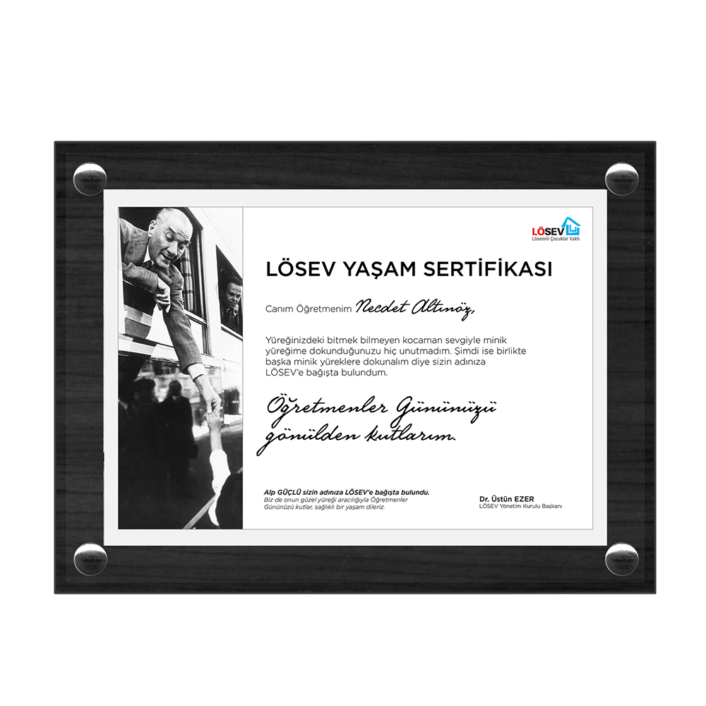 A5 Çerçeveli Yaşam Sertifikaları - İyilik Dolu Başöğretmenim