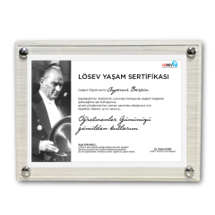 Değer Katan Başöğretmenim Ahşap Büyük