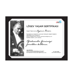 A5 Paspartu Yaşam Sertifikaları  - Değer Katan Başöğretmenim