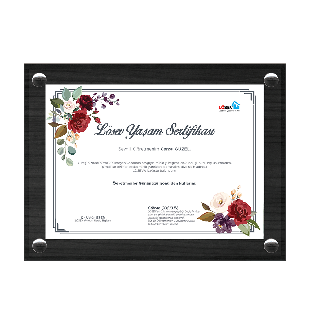 Geleceğimin Mimarı Öğretmenim Ahşap Küçük