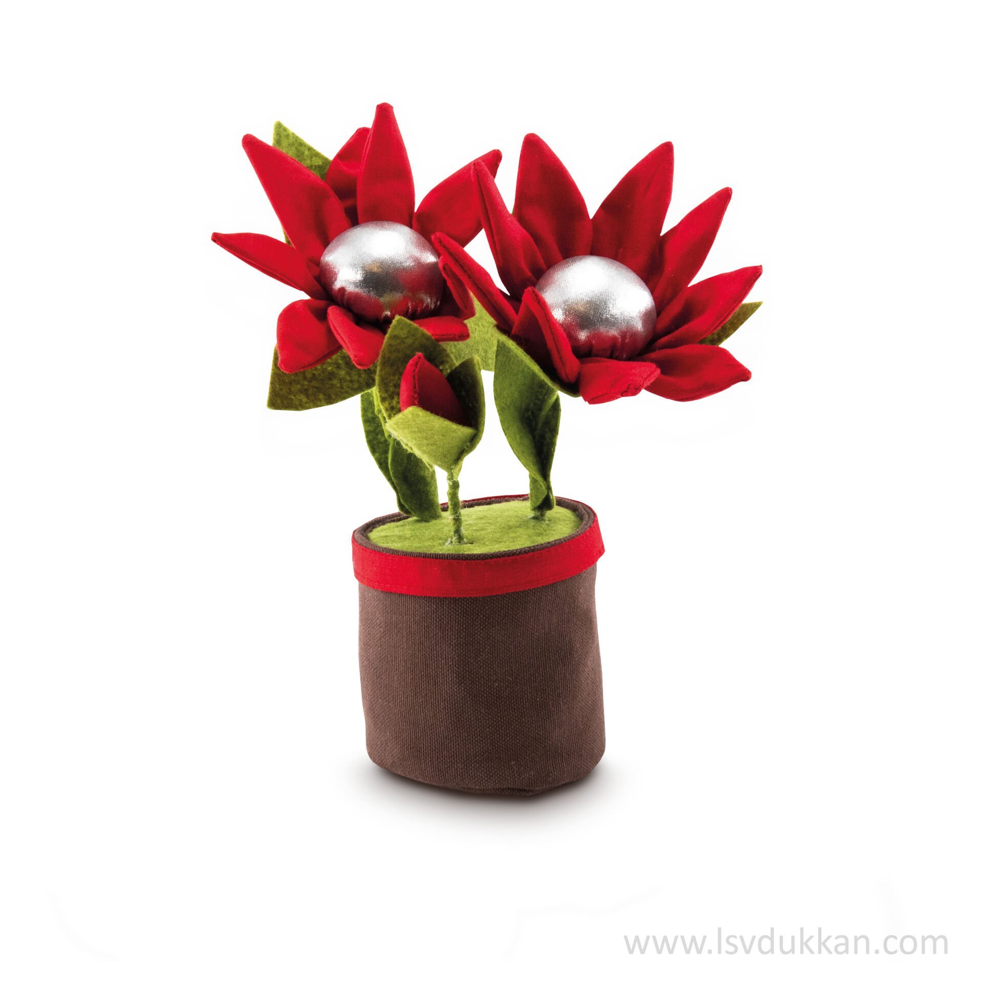 Lsv Saksıda Papatya