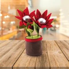 Lsv Saksıda Papatya