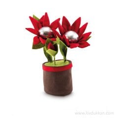 Lsv Saksıda Papatya